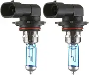 HOUTBY - 2 x 6000K Xenon Gas Halogen Bulbs 100W