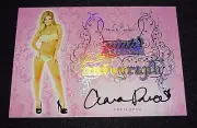 2015 Benchwarmer CIARA PRICE Pink Archive #26 Holo Foil Autograph PLAYBOY Sexy