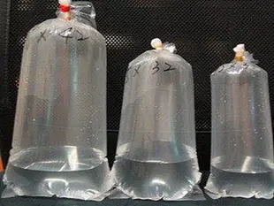 阿毅水族(高雄)---23*48圓底活體包裝專用塑膠袋
