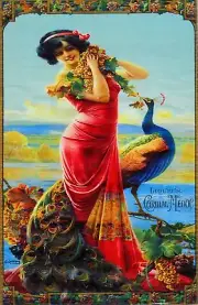 6399.Liqueur Cordial medoc Peacock Victorian girl Poster.Wall Art Decorative.