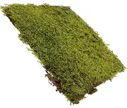 Abaodam DIY Grass Lawn Fake Grass Mat Artificial Turf Moss Simulated Turf Safe Reliable for Decor Crafts