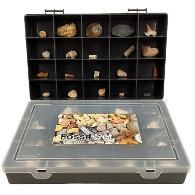 Large Fossil Gift Set with 20 Selected Fossils from Around the World