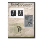 How to Draw Sketch Human Anatomy Faces Physique Art 14 Books CD - D319