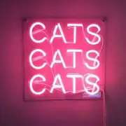 Pink" Cats Cats Cats" Neon Light Sign Decor Wall Room Glass Neon Artwork 10"