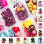 1 Box Real Jewellery Dried Flowers For DIY Art Craft Epoxy Resin Pendant Making