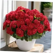Bundles Artificial Flowers for Outdoors Decoration Silk Geranium, UV 6 Red