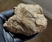 Meteorite Gebel Kamil 538g, Ungrouped Egypt Iron Ung Whole Individual