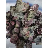 在飛比找蝦皮購物優惠-澎湖直送「隨機出貨5~20cm」新鮮活石 、活石、鈣藻活石、