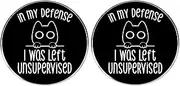 [ZENRUIMING] 2 pcs In My Defense I was Left Unsupervised Lapel Pins, Humorous Cartoon In My Defense Cat Alloy Pins, Men's and Women's Clothing Backpack Hat Accessories, 3cm(1.2"), Metal, no gemstone