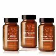 Australian Organic Whole Mushroom Combo | Lion's Mane, Turkey Tail and Reishi.