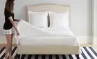 SOLACE SLEEP Pure Cotton Flat Sheet, King & All other sizes, Blue Gum/ White