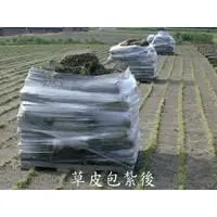 在飛比找蝦皮購物優惠-<翡翠園藝農場>綜合類草皮種子草籽 波斯菊 藍羊茅 韓國草薰