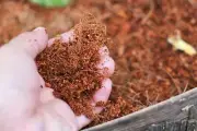 Coco Peat Coconut Fiber Organic Hydroponic Growing Media / For Exotic Pet