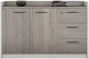 File Cabinet Double Door Cabinet with Three Drawers Office File Low Cabinet with Handles and Compartments Office Drawer