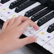88/54/61 Key Note Universal Learner Piano Keyboard Stickers Set For Beginners