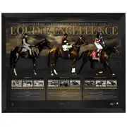 Equine Excellence 150 Years Of Melbourne Cup Framed