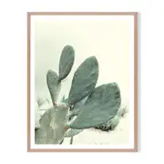 Aloe Framed Printed Wall Art - Timber