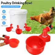 6PCS Automatic Cups Water Feeder Drinker Chicken Waterer Poultry Chook Bird HG