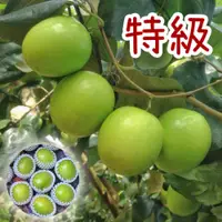 在飛比找i郵購優惠-牛奶蜜棗特級禮盒 10台斤/箱 10台斤