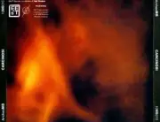 MAURIZIO BIANCHI - CARCINOSI: DECOMPOSIZIONE PER ORGANISMI BIONICI E MUTAZIONI C