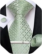 [DiBanGu] Mens Plaid Tie and Tie Clip Set Wedding