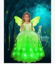 Beautiful Light up Green Fairy Costume/Ages 3-5