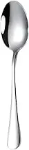 Tea Spoon Dessert Spoons 10Pcs Espresso Spoon 4 Inches Mini Coffee Spoon Small Bistro Spoon for Dessert Stainless Steel Tea Appetizer 20.7x5