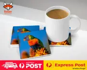 COASTER COFFEE DRINKING MAT|COLORFUL RAINBOW PARROT BIRD 357