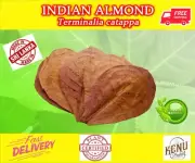 DriedTerminalia catappa Indian Almond Leave With phytosanitary Certificate