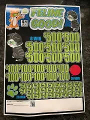 Pull Tab Tickets - Jar Tickets - Game - Feline Good