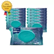 Flushable Wipes, 480 Total Wipes (12 Packs of 40)