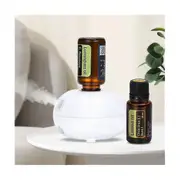 Mini Fragrance Diffuser Aromatherapy Machine Automatic Induction Portable Cute For Diffuser Usb White