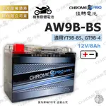 【塔米X庫輪】佳騁 AW9B-BS CB9B-BS 機車電池 YT9B-BS 電瓶 9號薄型 MAJESTY 馬車 金勇