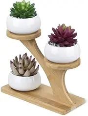 Succulent Plant Pots,Pots and Stand Set,Decoration Planters,Saucers Stand Holder,Flower Planter,with Drainage, Pack of 3, Cute Office Garden Indoor Decoration, Plants Not Included