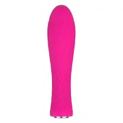 Nalone Ian Bullet Vibrator