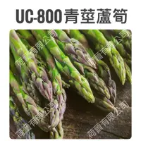 在飛比找蝦皮購物優惠-UC-800青莖蘆筍種子1.1公克(約50粒) 綠蘆筍種子