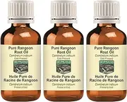 Devprayag Pure Rangoon Root Oil (Combretum indicum) Natural Therapeutic Grade Cold Pressed (Pack of three) 100ml X 3 (10 oz)