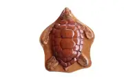 Top View Honu Turtle - Wooden Puzzle Box