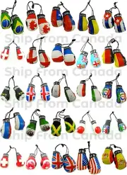 High Quality Soccer Teams MINI BOXING GLOVES - Rear View Mirror Gloves -New