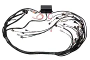 HALTECH Elite 2500 Terminated Harness HT-141362