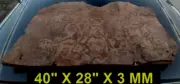 WALNUT BURL VENEER CLARO THICK CUT #V316 8 PIECES