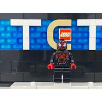 在飛比找蝦皮購物優惠-【TCT】 LEGO 樂高 超級英雄 Marvel DC S