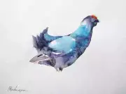 Capercaillie, Birds, Watercolor artwork, Handmade, Original painting on paper