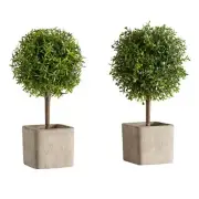 Artificial Topiary Ball in Planter Set Porcelain Table Top Decor 10" - Pack of 2