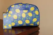 Dabney Lee Blue Lemon Makeup Travel Bag NEW