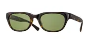 Eyevan Malecon-Sun-E TORT Men's Sunglasses Tortoiseshell Size 53