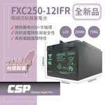 【YUASA】FXC250-12IFR 儲能深循環型電池 太陽能 離岸風電 電信 風力發電 照明設備 警報設備 消防