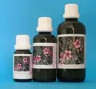 Essential oil Tea tree,Top grade Made by Australian standards Undiluted Pure oil