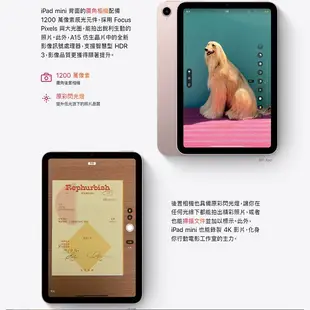 Apple iPad mini 6 Wi-Fi 64GB 2021版 現貨 廠商直送