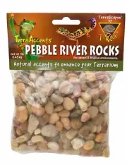 T-Rex Reptile Terrarium Décor -Terra Accents Pebble River Rocks